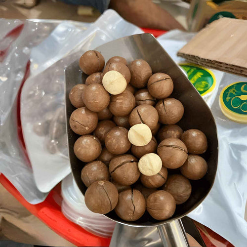 Macadamia Nuts