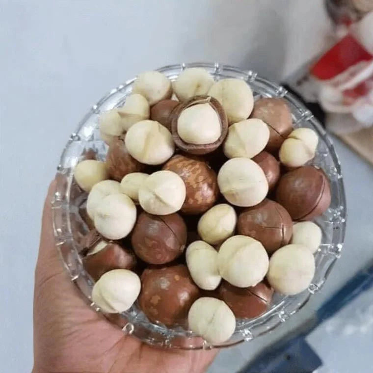 Macadamia Nuts